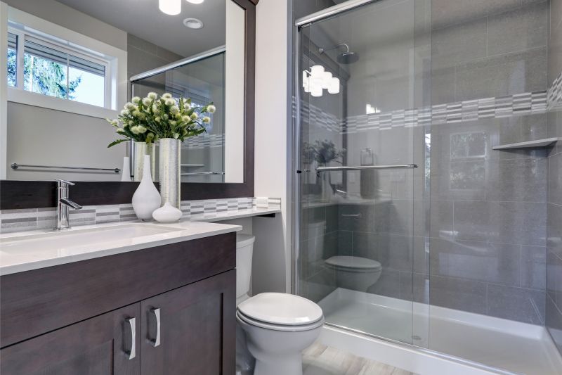 Contemporary Shower and Vanity